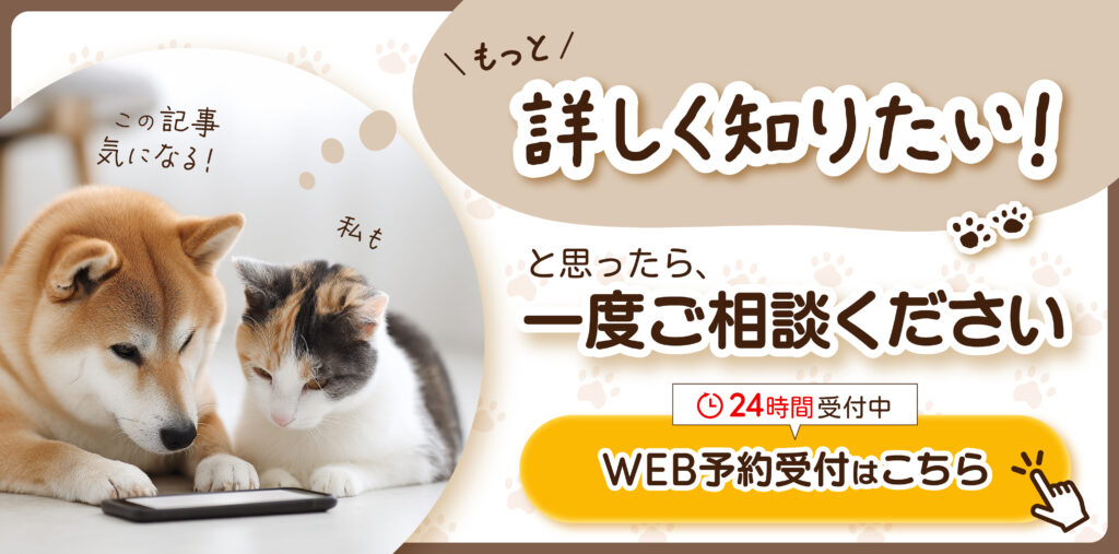 詳しく知りたいと思ったら一度ご相談ください。